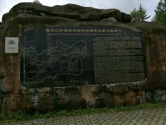 -汤旺河林海奇石景区