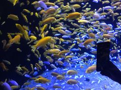 -成都浩海立方海洋公园