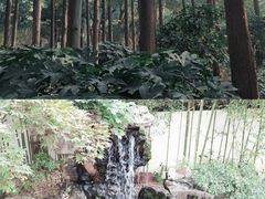 -上海醉白池公园