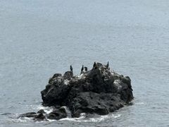 -涉地可支