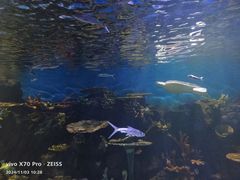 -华夏文旅海洋公园