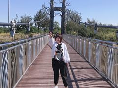 -西青郊野公园