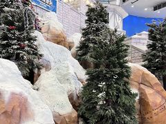 -湘江欢乐城欢乐雪域
