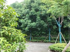 -汤山公园