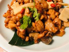 -雀舞云南菜(天津天河城购物中心店)