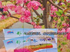 -江苏三台山国家森林公园