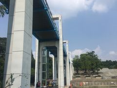 -东莞植物园
