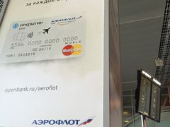 -谢列梅捷沃国际机场