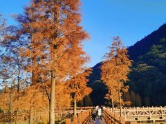 -广州市石门国家森林公园