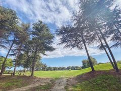 -银涛高尔夫练习场(徐泾店)