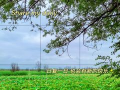 -野鸭湖国家湿地公园