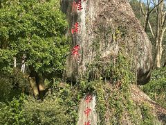 -雁南飞茶田景区