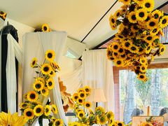 -禧室Joyous Lounge(禧园店)