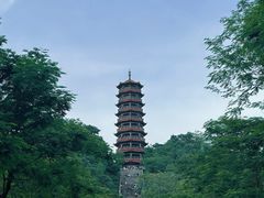 -红花山公园