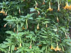 -昆明市金殿名胜区