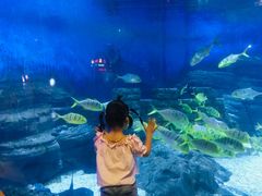 -烟台海昌鲸鲨海洋公园