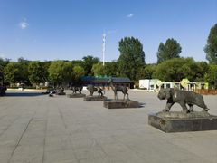 -沈阳森林动物园