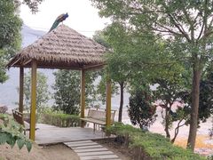 -温州乐园