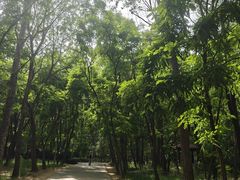 -廊坊市自然公园