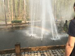 -合肥滨湖国家森林公园