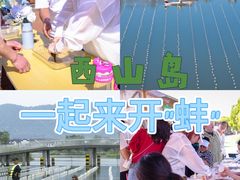 -苏州太湖西山岛开心农场