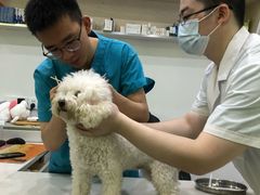 -贝利宠物医院·骨科·眼科·肿瘤转诊中心(南坪诊疗中心)