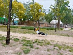 -圣露庄园·露营·烤肉·亲子