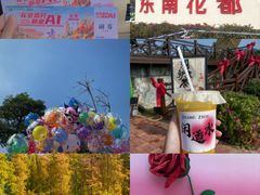 -东南花都花博园