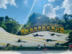 -西双版纳原始森林公园