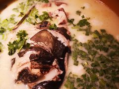 -松沪名灶·豆浆鱼头·新上海菜(飞航吾悦广场店)