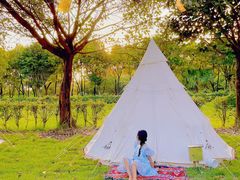 -广东花都香草世界旅游度假区