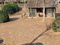-无锡动物园·太湖欢乐园
