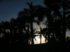 -欢乐海岸椰林沙滩-2025湾区超级灯会