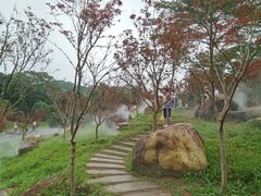 -广州市帽峰山景区