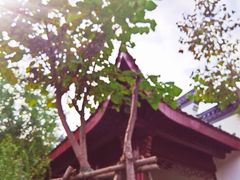 -堤角公园