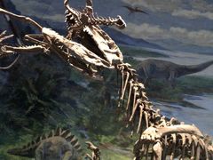 -自贡恐龙博物馆