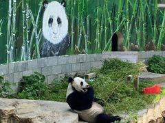 -南昌动物园