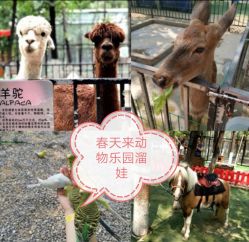 -萌宠亲子动物乐园(槐房万达店)