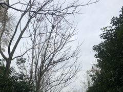 -秦岭终南山世界地质公园翠华山景区