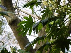 -宜兴龙背山森林公园
