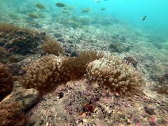 -西涌国际滨海旅游区