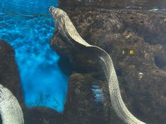 -福州罗源湾海洋世界旅游区