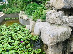 -回头食客-李久其家民间餐厅(望城金桥国际店)