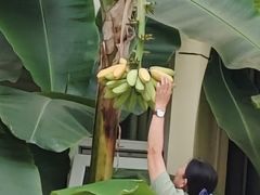 -兴芮温泉度假区