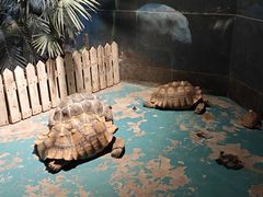 -海合安天津极地海洋公园