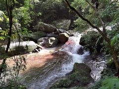 -碧峰峡风景区