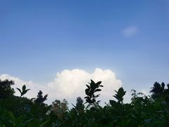 -火炉山森林公园