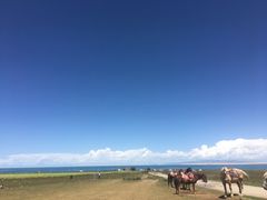 -青海湖国家重点风景名胜区
