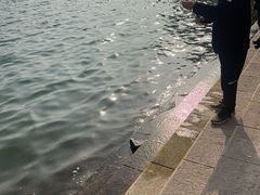 -万达广场(万州店)