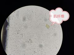 -太原东方动物医院(小店分院)